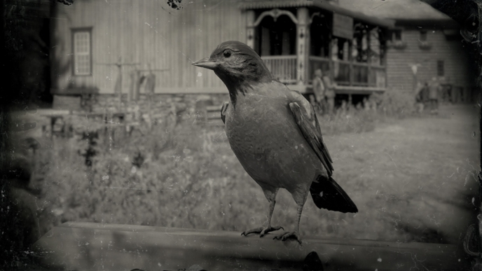 Oriole location - Red Dead Redemption 2