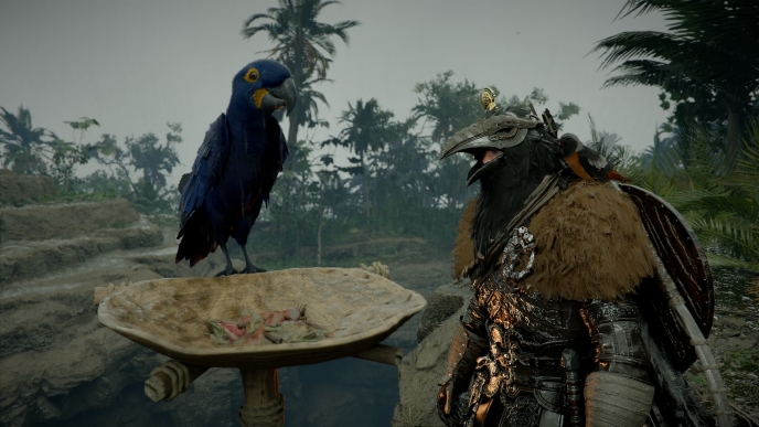 How to get the Hyacinth Macaw pet in Crimson Desert
