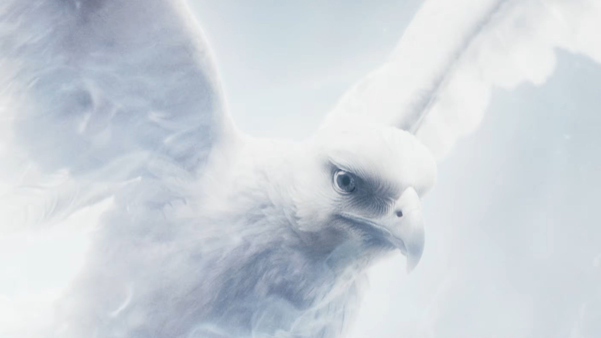For the Bird Triumph - Destiny 2