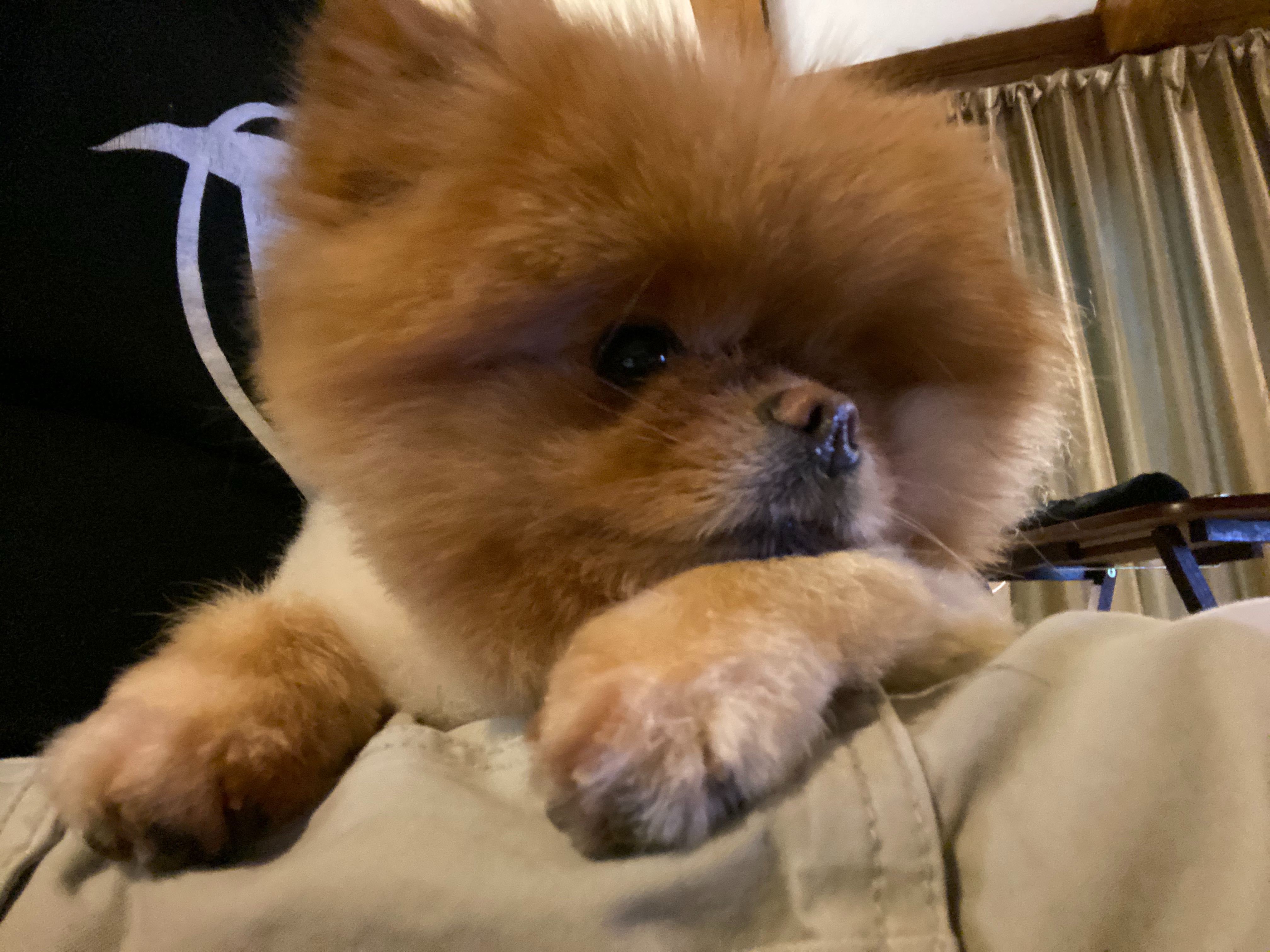 Lola is the best!