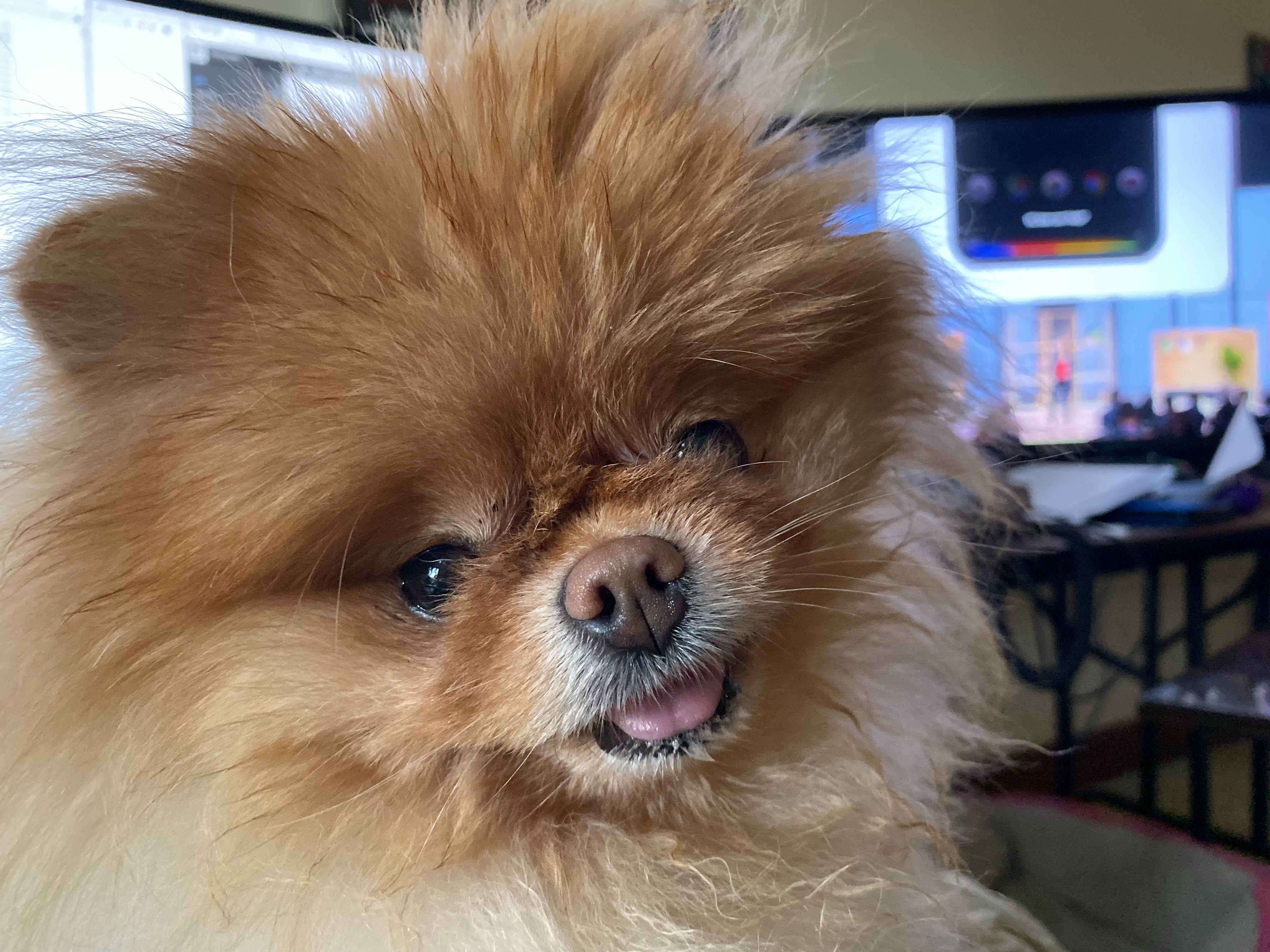 Lola is so great.