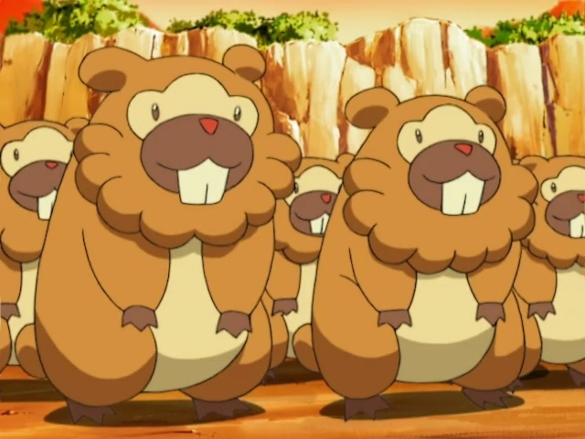 More Bidoof!