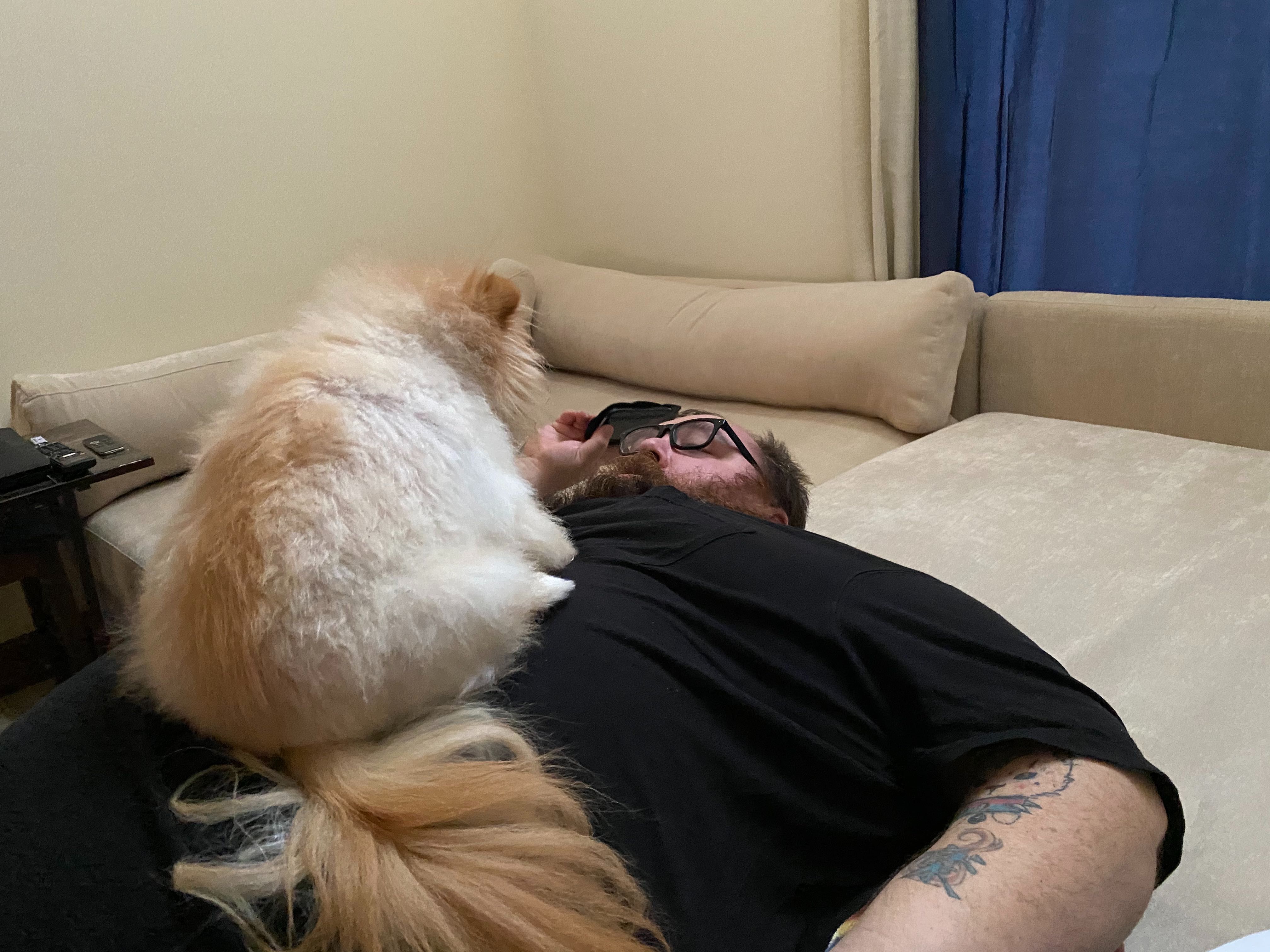 Lola is the best dog.