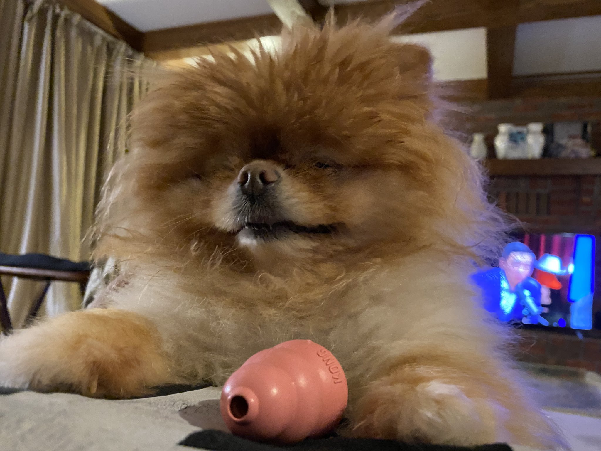 Sleepy Lola is ready for our Holiday break.