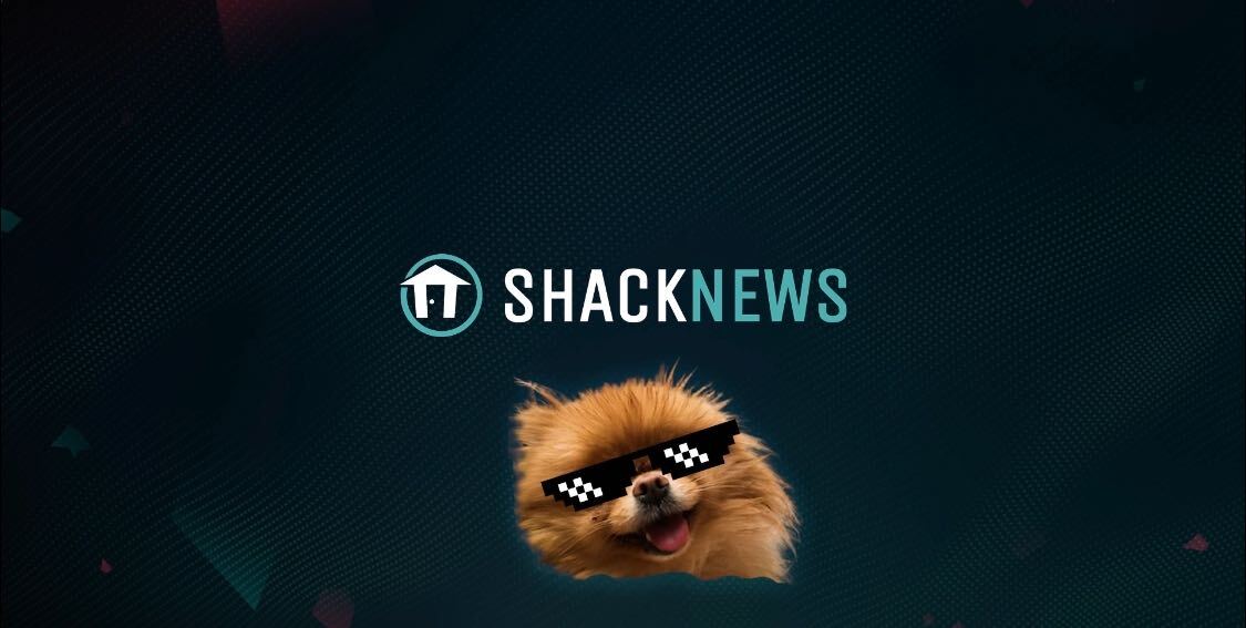 Lola is the Chairpet of the Board at Shacknews and the face of our Mercury subscription service.