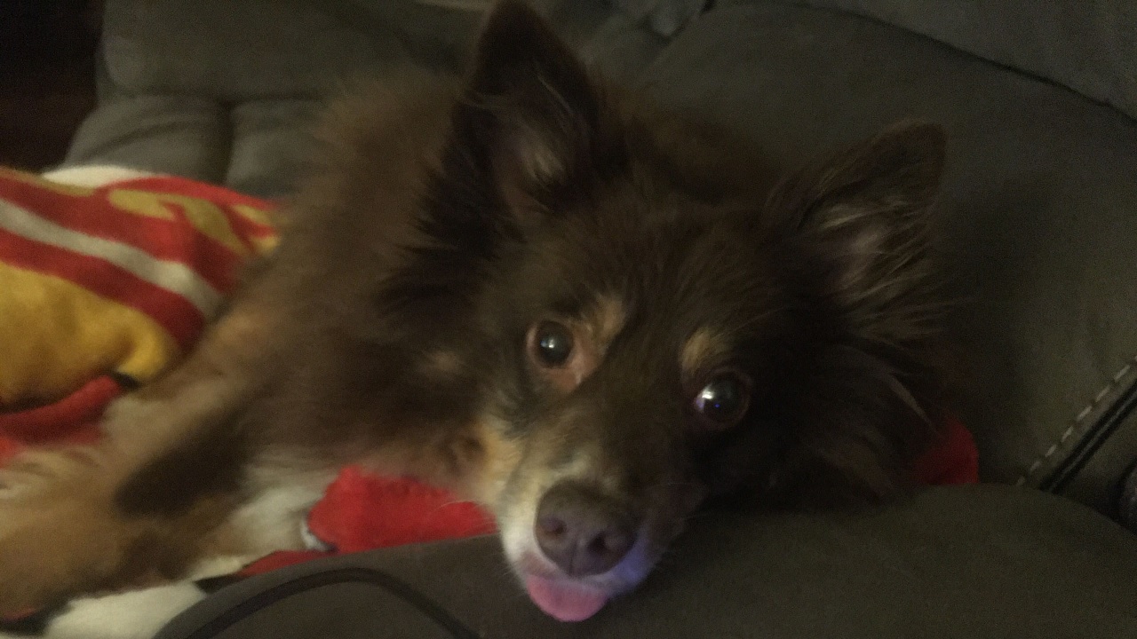 If you make Flaff happy, she will reward you with good bleps.