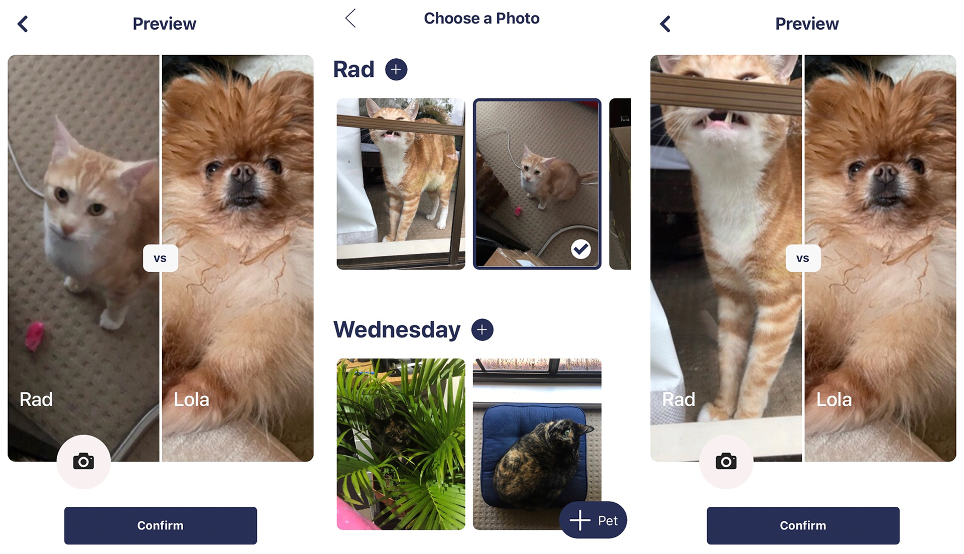 shackpets change challenge photo