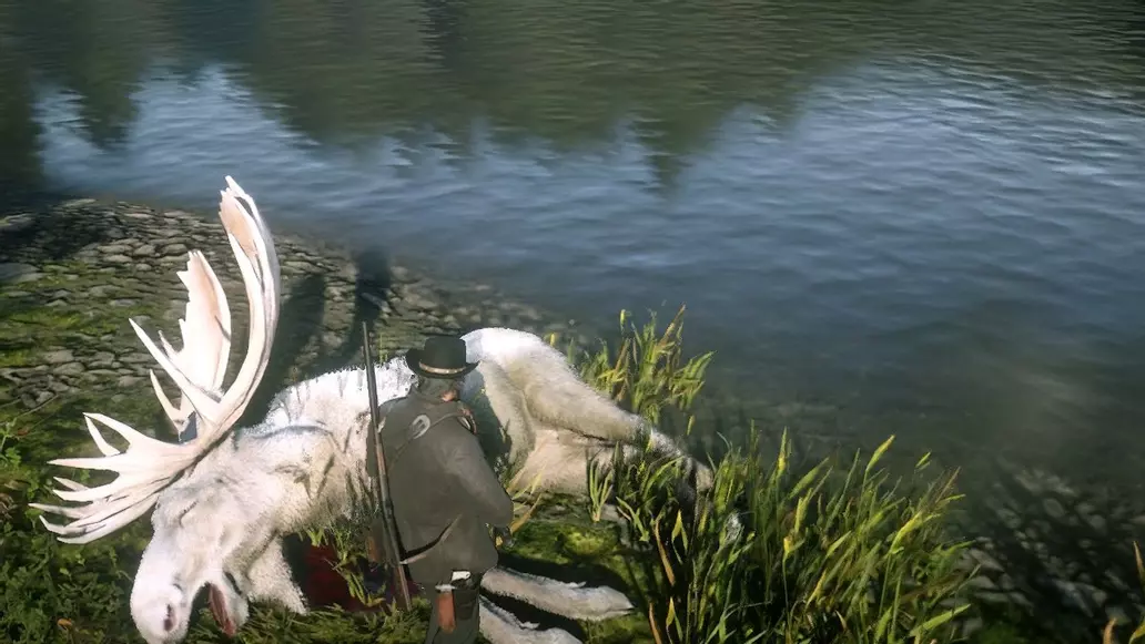 How to kill the Legendary Moose - Red Dead Redemption 2 How to kill the Legendary Moose - Red Dead Redemption 2