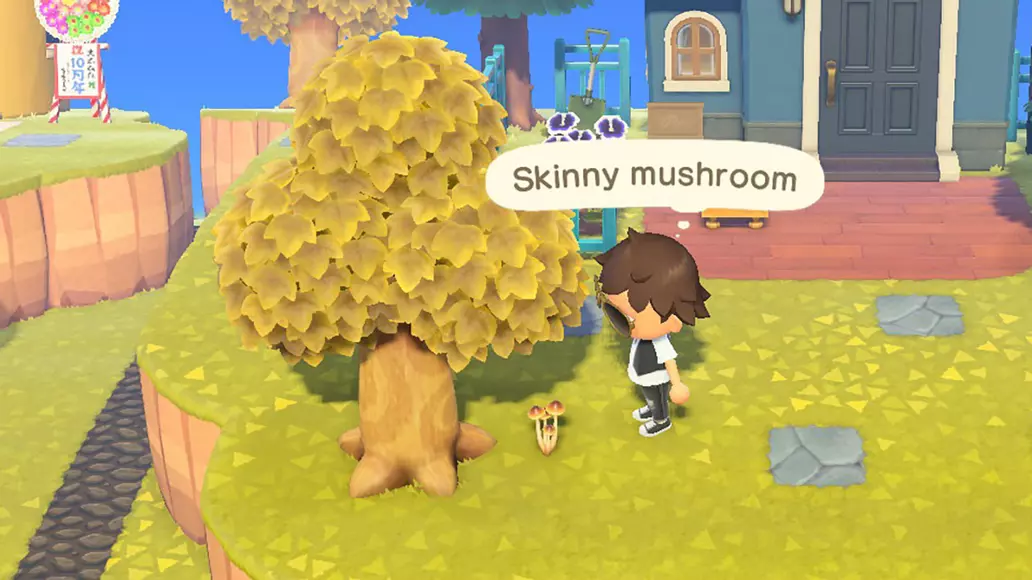How to get mushrooms - Animal Crossing: New Horizons How to get mushrooms - Animal Crossing: New Horizons