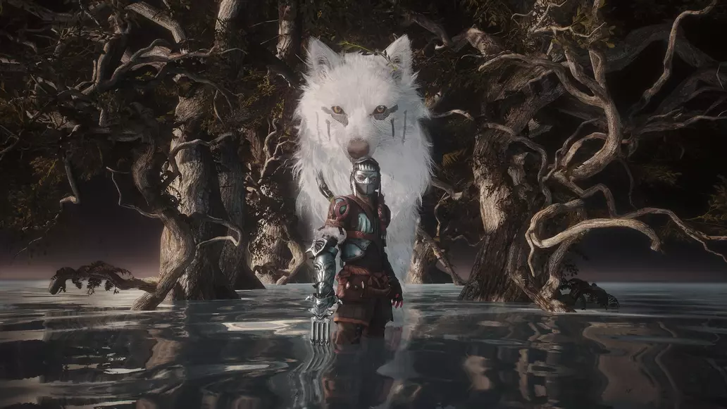 What are the pieces in solframe? What are the pieces in solframe?