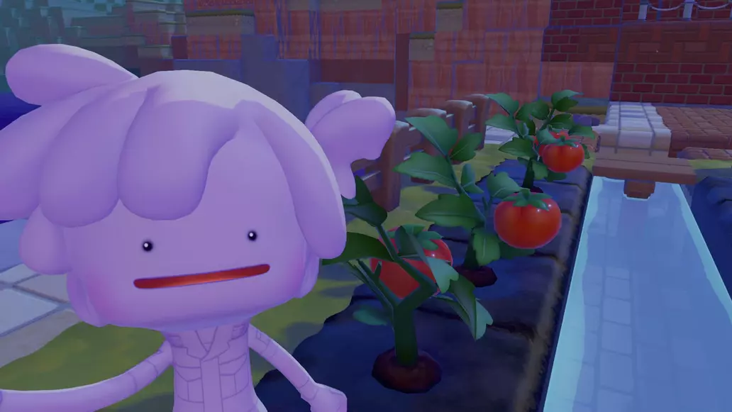 How to get Tomatoes, Beans, and Wheat in Pokemon Pokopia