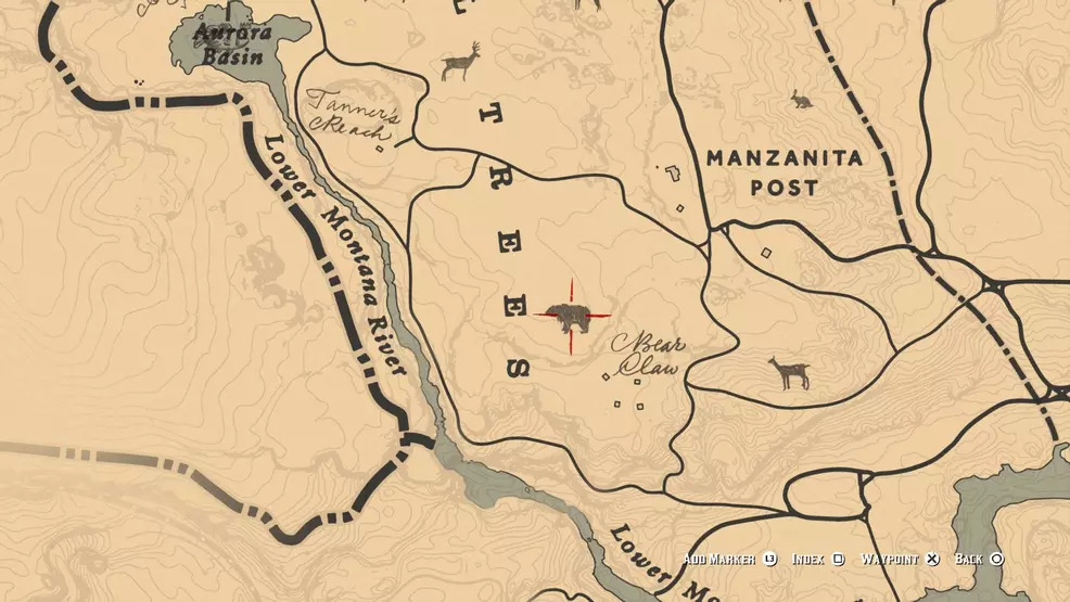 Where to find Grizzly Bears and American Black Bears in Red Dead