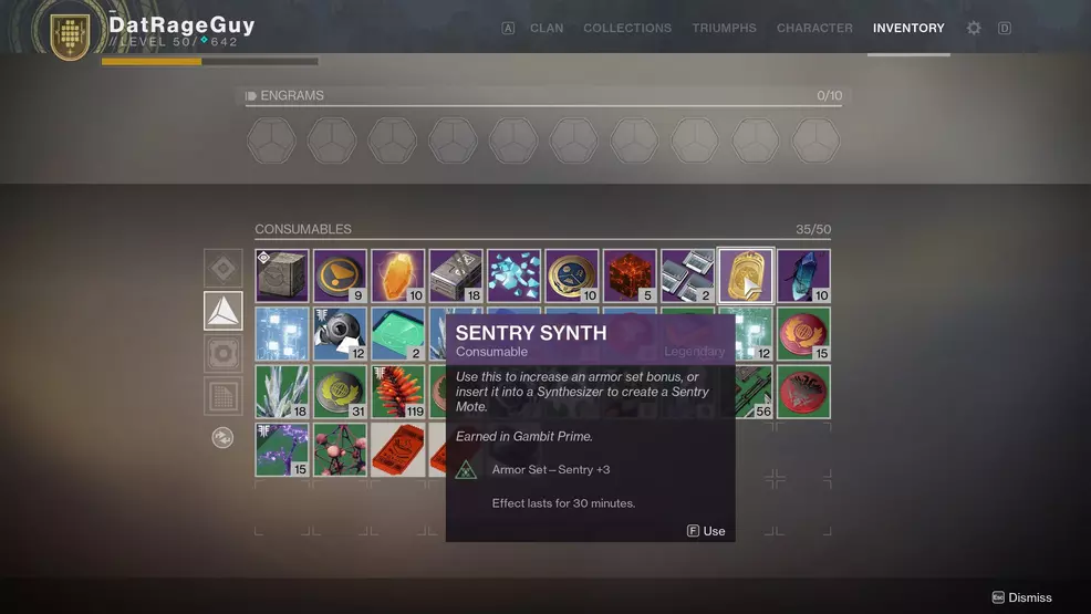 Destiny 2 Sentry Synth item details