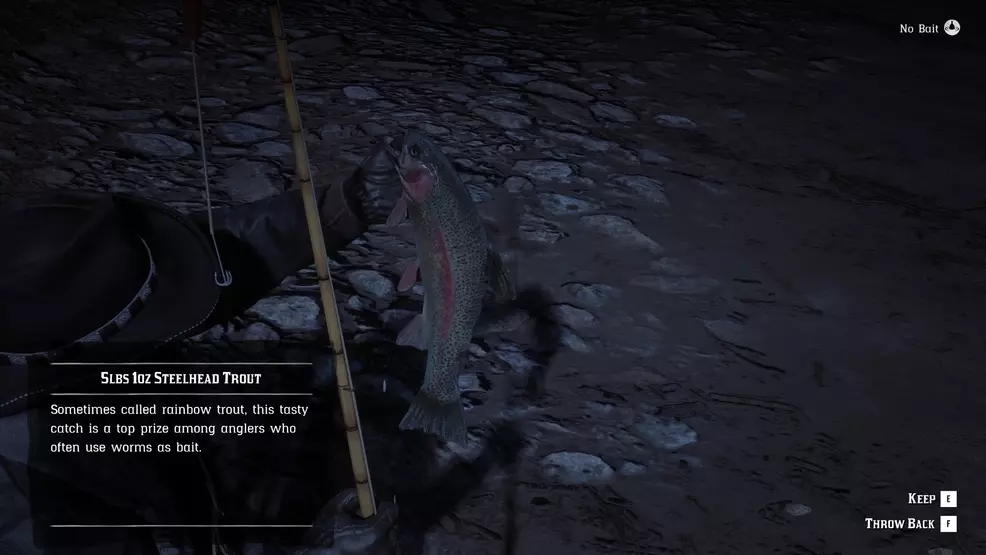 Steelhead Trout location in Red Dead Redemption 2 | Shacknews