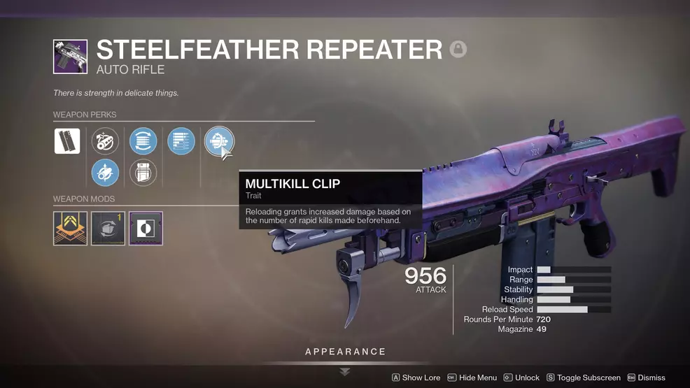 Steelfeather Repeater God Roll