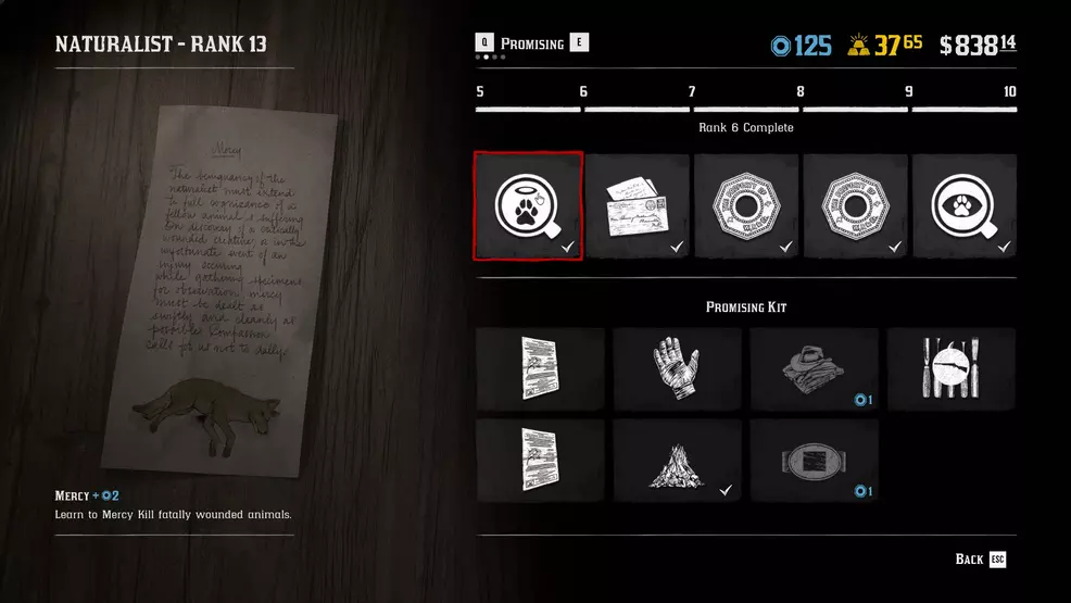 How to perform a Mercy Kill - Red Dead Online