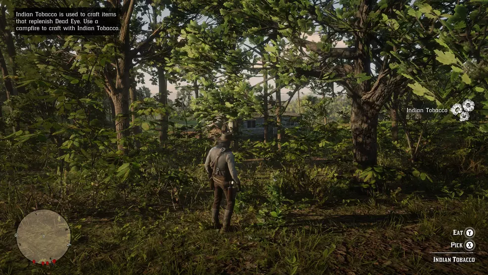 indian tobacco crafting rdr2 Indian Tobacco location - Red Dead Redemption 2 indian tobacco crafting rdr2 Indian Tobacco location - Red Dead Redemption 2