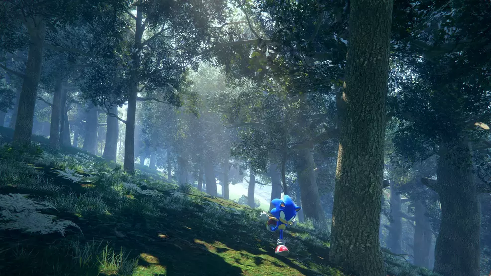 Sonic running through a shadowy forest