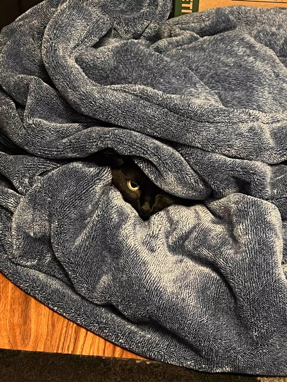 I picture of a cat hiding in a blanket with one of its eyes showing
