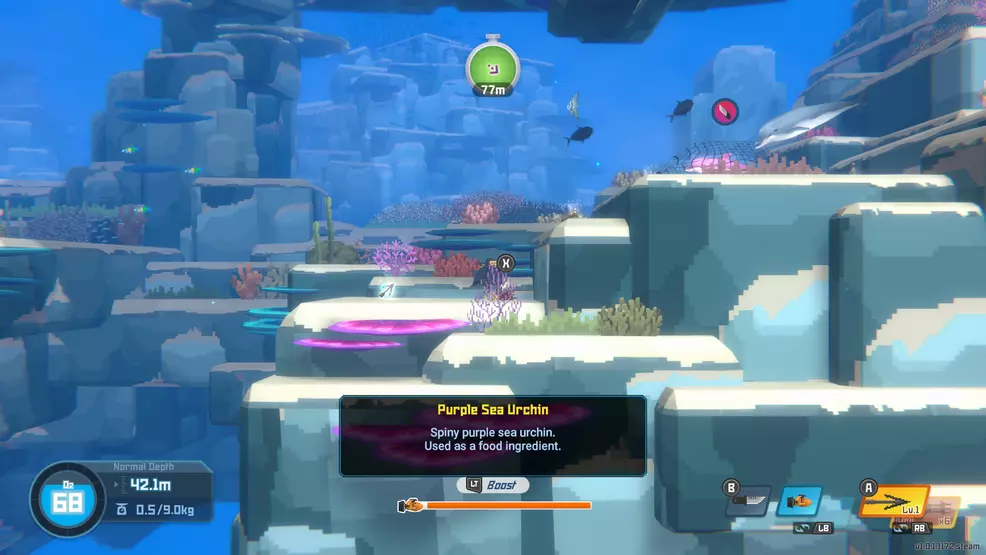 An image showing Purple Sea Urchin in Dave the Diver