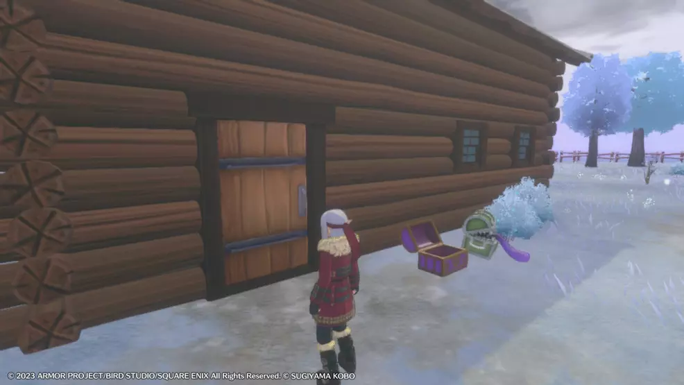 The door leading to the Mole Hole in DQM the dark prince