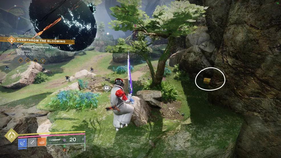 A chest by the edge of the area