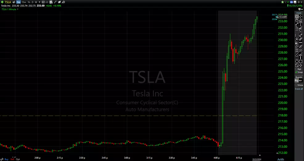 Tesla's stock chart on October 23, 2024.