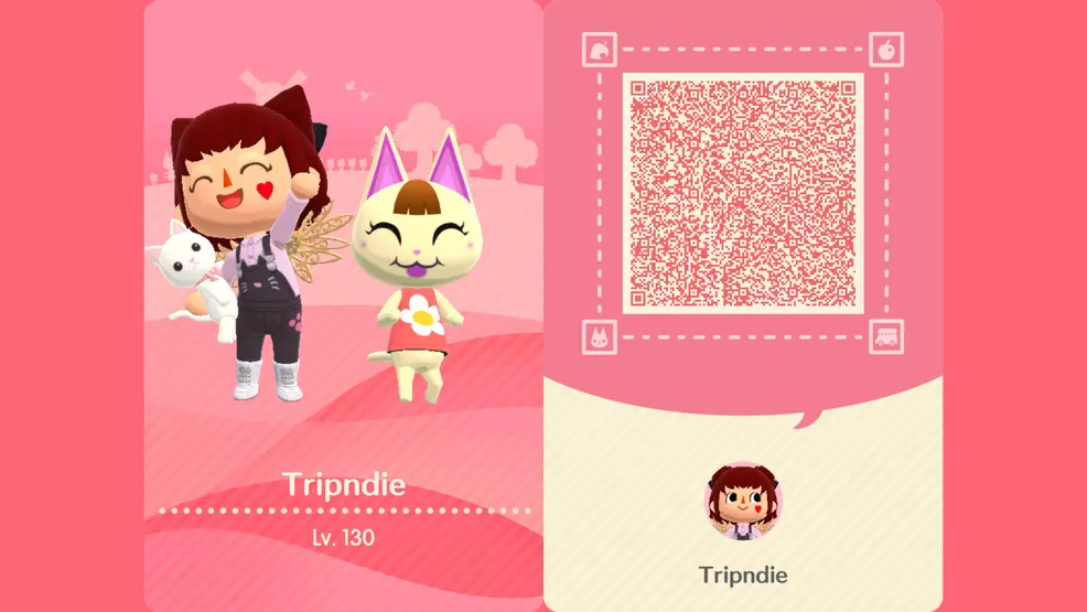 The player's Camper card showing the avatar. Campsite Assistant and QR Code