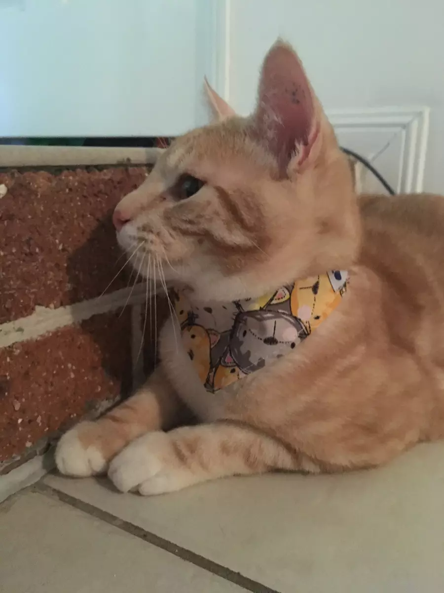 Weekend Discussion – May 18, 2025 Weekend Discussion – May 18, 2025