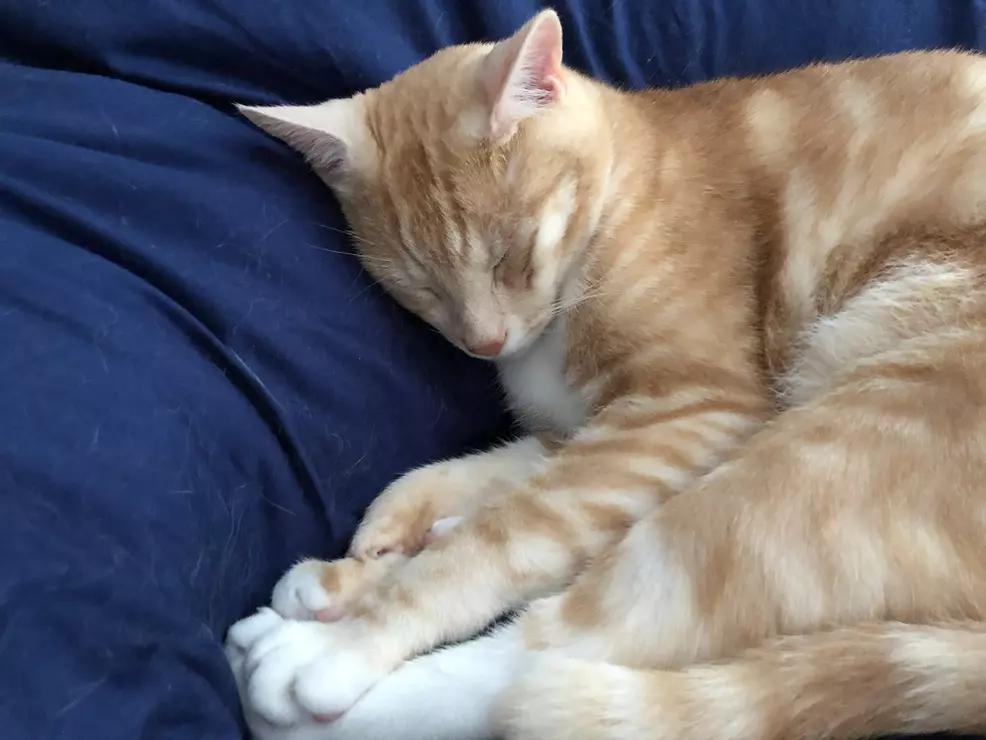 Evening reading – May 19, 2025 Evening reading – May 19, 2025