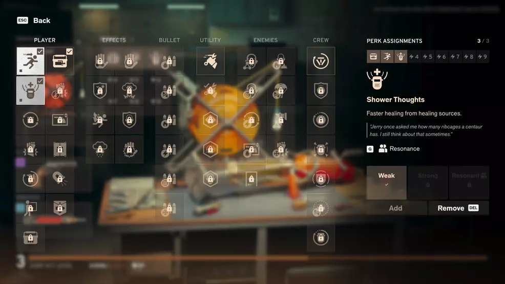 The perk screen shows the perk unlocked allowances inside the loadout menu