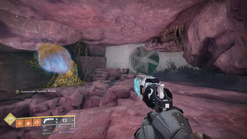 The Arc flower that opens the way to the first Rapid Hit catalyst fragment for the Graviton Spike Exotic Hand Cannon in Destiny 2: The Edge of Fate