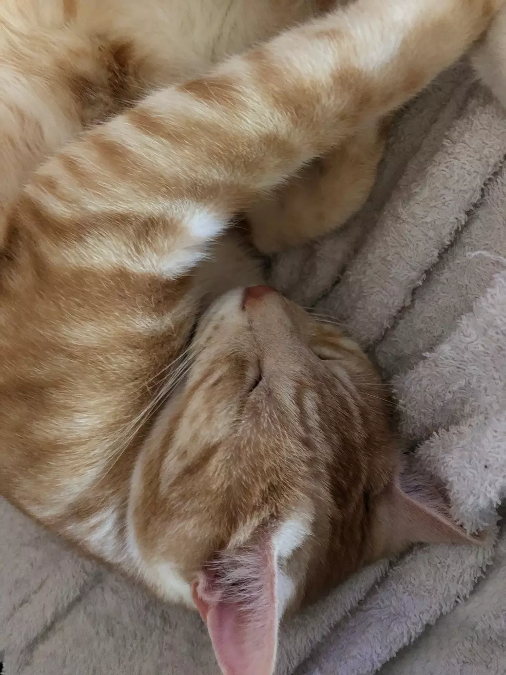 Weekend Discussion – July 13, 2025 Weekend Discussion – July 13, 2025