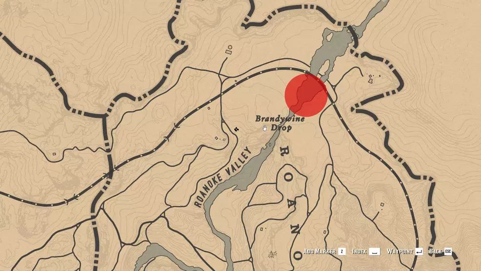 Cougar spon location near Brandivin Drop in Red Dead Online