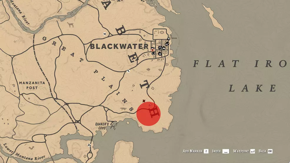 Cougar Spon Spon Sthal South of Blackwatter in Red Dead Online