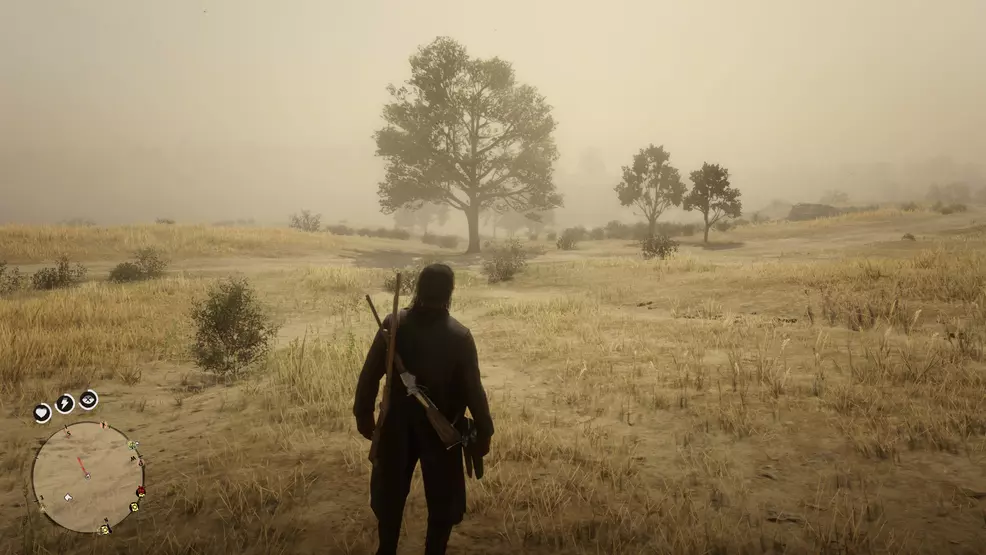 Blash in the south of Blackwater in Red Dead Online