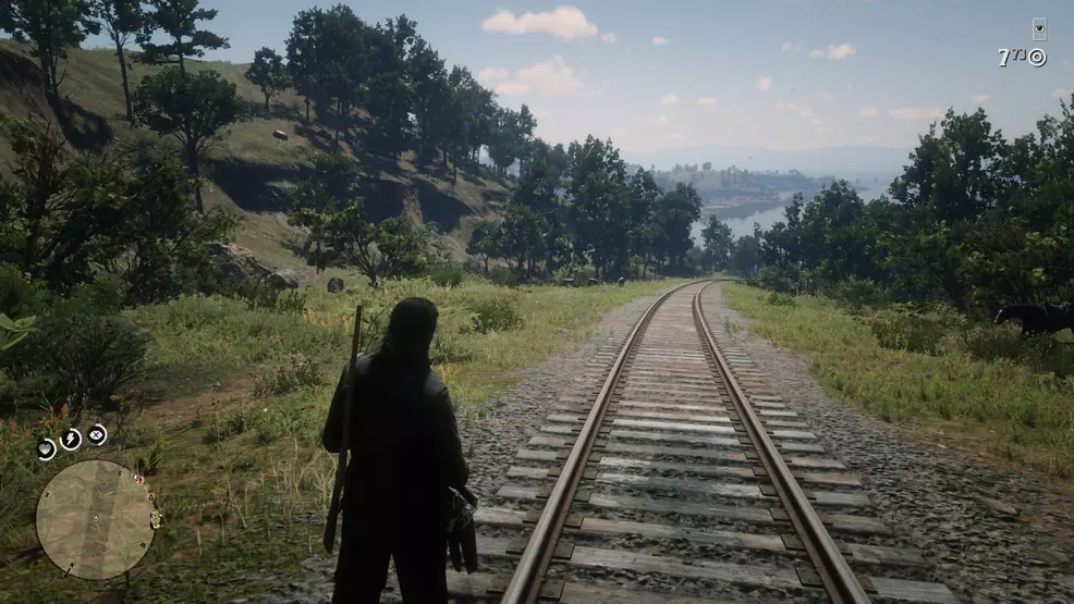 Train tracks north of Ensburgh in Red Dead Online
