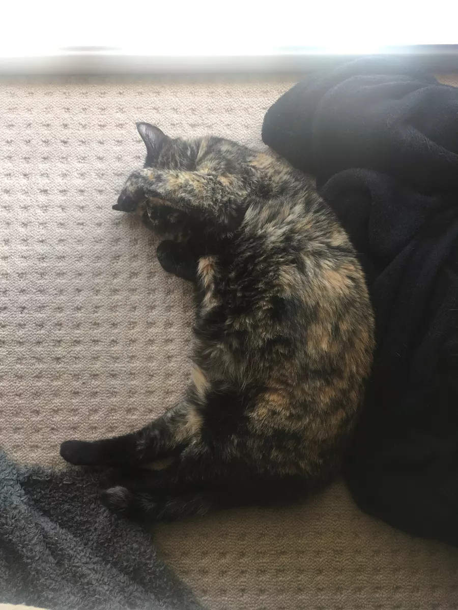 Weekend Discussion – July 6, 2025 Weekend Discussion – July 6, 2025