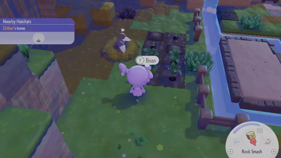 How to get Tomatoes, Beans, and Wheat in Pokemon Pokopia