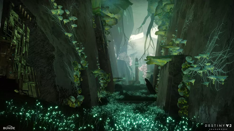 The Black Garden in Destiny