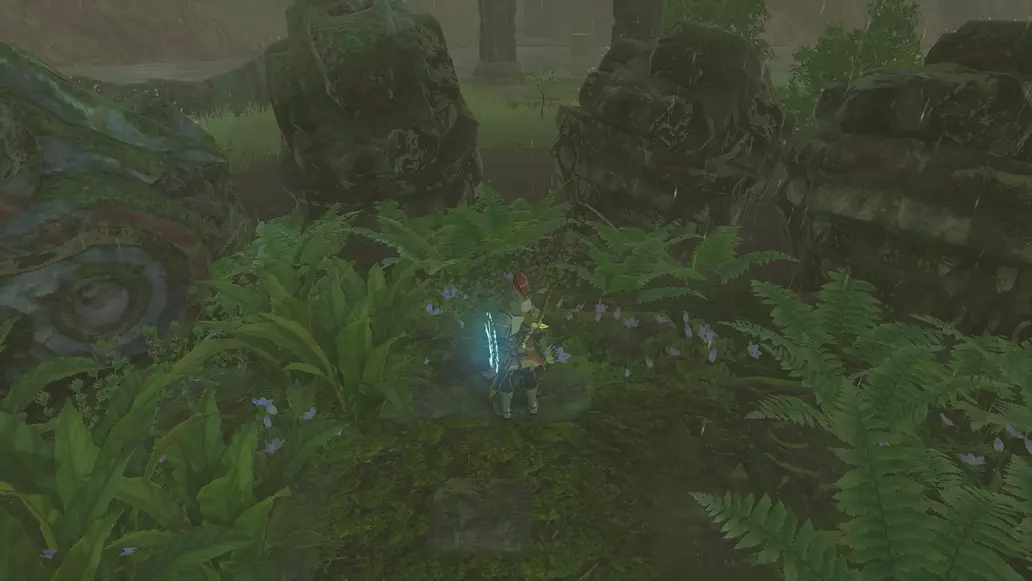 The Six Dragons Quest Zelda Tears of the Kingdom Shacknews