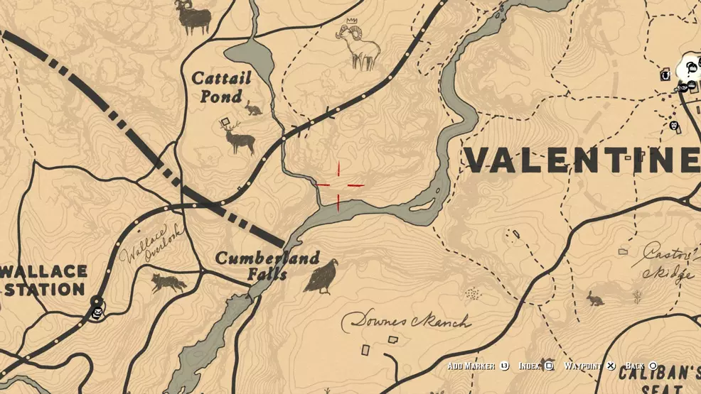 Timberwolf Rdr2 Location Where to find Grizzly Bears and American Black Bears in Red Dead ...