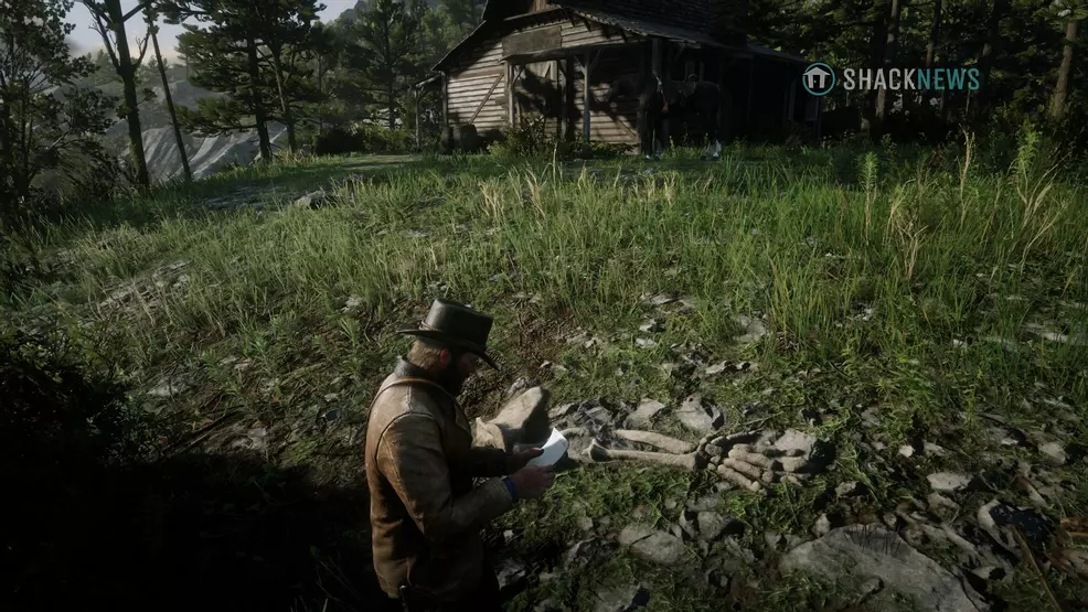 All dinosaur bone locations in Red Dead Redemption 2 | Shacknews