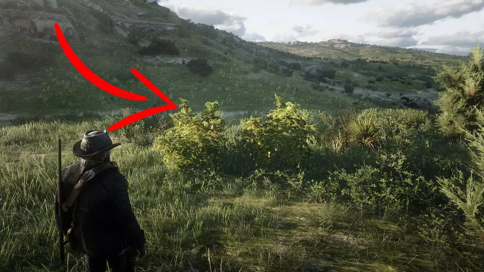 Blackberry Location Rdr Pick and eat 4 species of berry in Red Dead Redemption 2 | Shacknews