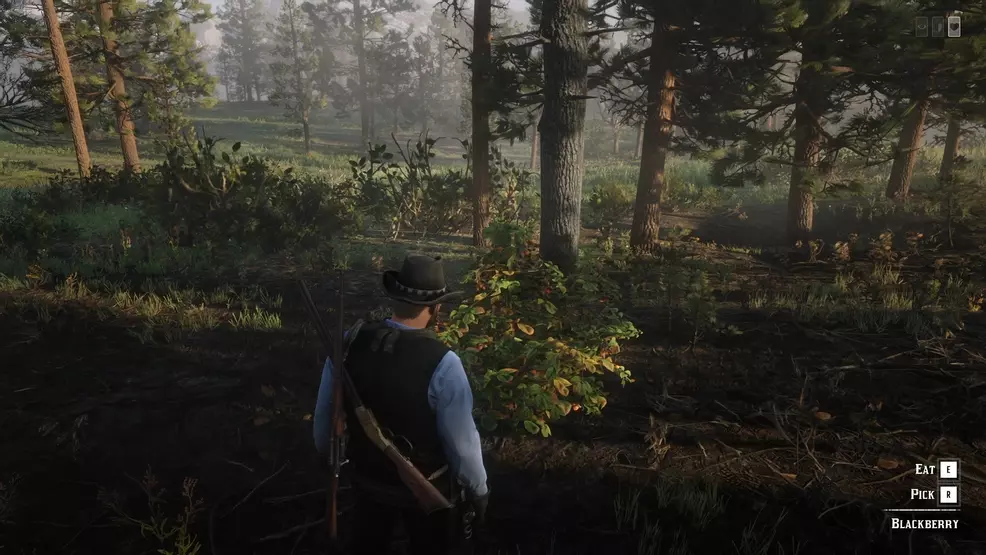 Blackberry Location Rdr Red Dead Online Blackberry locations | Shacknews