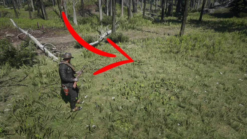 Blackberry Location Rdr Pick and eat 4 species of berry in Red Dead Redemption 2 | Shacknews