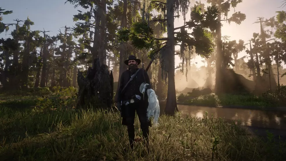 Egret locations in Red Dead Redemption 2 | Shacknews