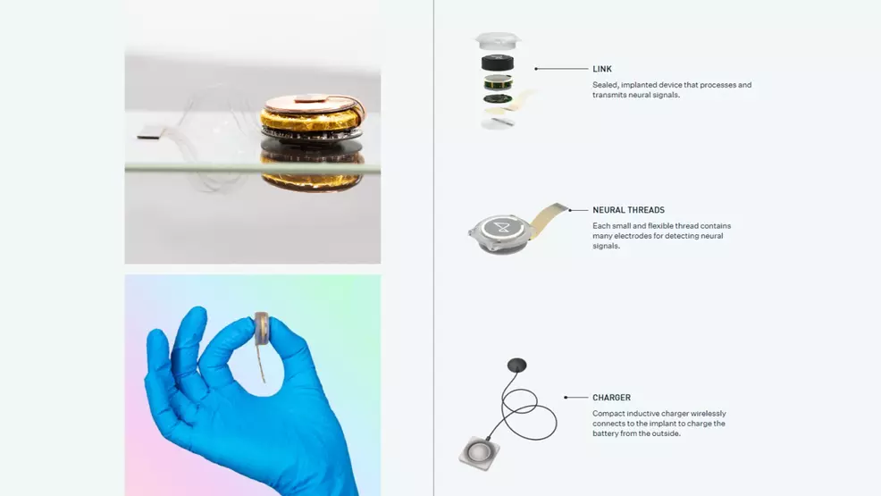 Neuralink Life Cycle Testing Server Rack FDA allegedly rejects Musk's request to test Neuralink chip in humans ...