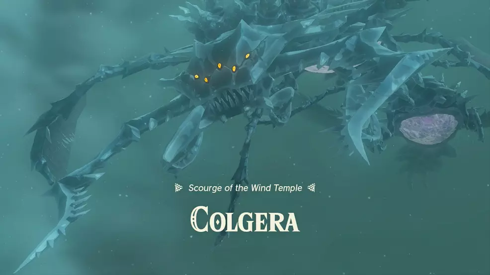 Colgera Background Wind Temple & Colgera boss - Zelda: Tears of the Kingdom | Shacknews