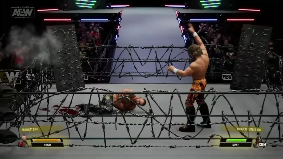 AEW Fight Forever review: Don't try this at home | Shacknews